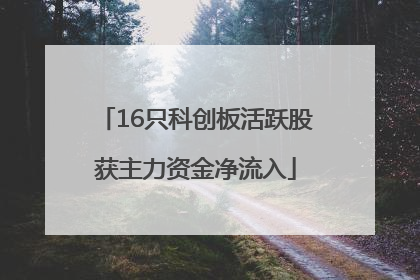 16只科创板活跃股获主力资金净流入