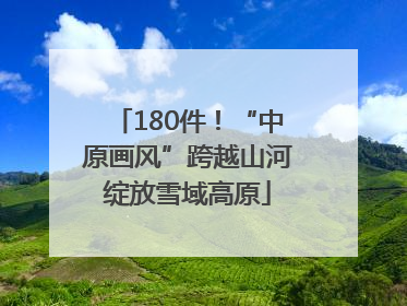180件！“中原画风”跨越山河绽放雪域高原