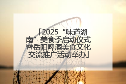 2025“味道湖南”美食季启动仪式暨岳阳啤酒美食文化交流推广活动举办