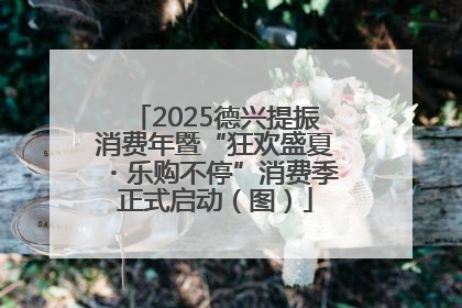 2025德兴提振消费年暨“狂欢盛夏・乐购不停”消费季正式启动（图）