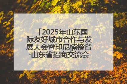 2025年山东国际友好城市合作与发展大会暨印尼楠榜省·山东省招商交流会在济南槐荫举行