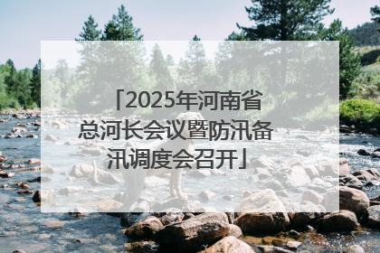 2025年河南省总河长会议暨防汛备汛调度会召开