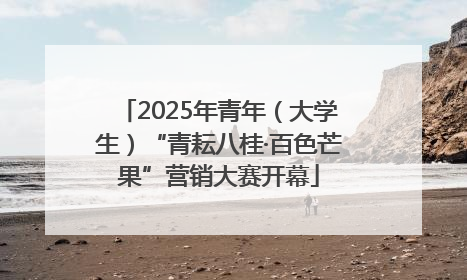 2025年青年（大学生）“青耘八桂·百色芒果”营销大赛开幕