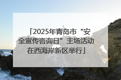 2025年青岛市“安全宣传咨询日”主场活动在西海岸新区举行