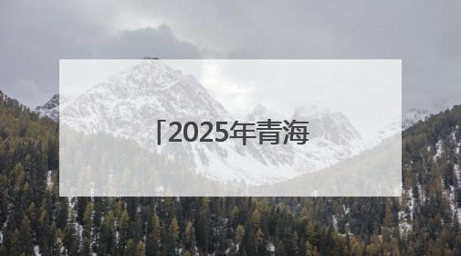 2025年青海省普通高校招生考试排序成绩一分一段统计表