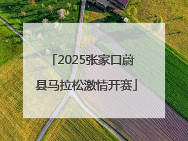 2025张家口蔚县马拉松激情开赛