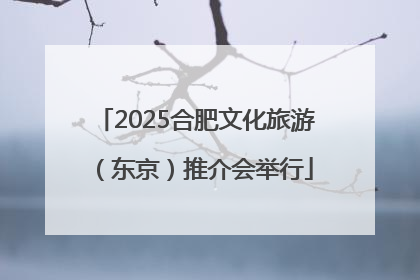 2025合肥文化旅游（东京）推介会举行