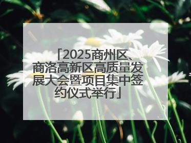 2025商州区、商洛高新区高质量发展大会暨项目集中签约仪式举行