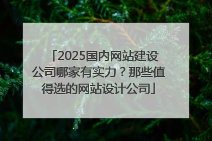 2025国内网站建设公司哪家有实力？那些值得选的网站设计公司