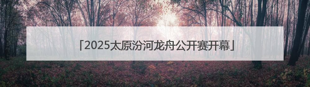 2025太原汾河龙舟公开赛开幕