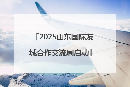 2025山东国际友城合作交流周启动