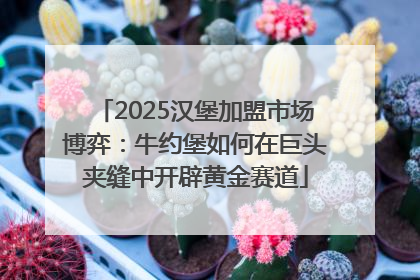2025汉堡加盟市场博弈：牛约堡如何在巨头夹缝中开辟黄金赛道