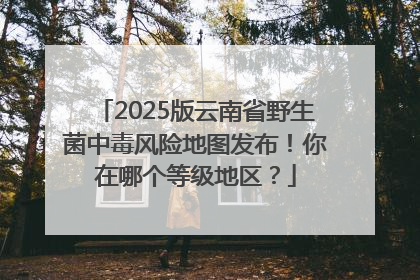 2025版云南省野生菌中毒风险地图发布！你在哪个等级地区？