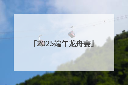 2025端午龙舟赛