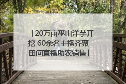 20万亩巫山洋芋开挖 60余名主播齐聚田间直播助农销售