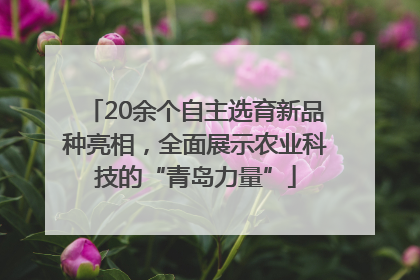 20余个自主选育新品种亮相，全面展示农业科技的“青岛力量”