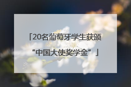 20名葡萄牙学生获颁“中国大使奖学金”