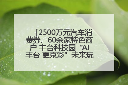 2500万元汽车消费券、60余家特色商户 丰台科技园“AI丰台 更京彩”未来玩家市集活动正式开幕