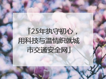 25年执守初心，用科技与温情织就城市交通安全网