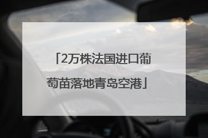 2万株法国进口葡萄苗落地青岛空港