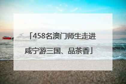 458名澳门师生走进咸宁游三国、品茶香