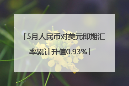 5月人民币对美元即期汇率累计升值0.93%