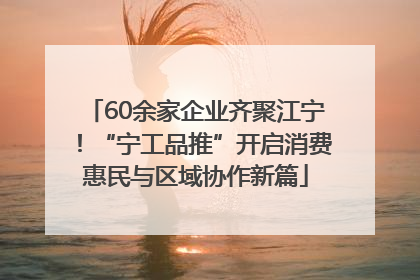 60余家企业齐聚江宁！“宁工品推”开启消费惠民与区域协作新篇