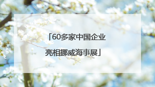 60多家中国企业亮相挪威海事展