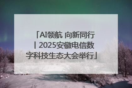 AI领航 向新同行丨2025安徽电信数字科技生态大会举行