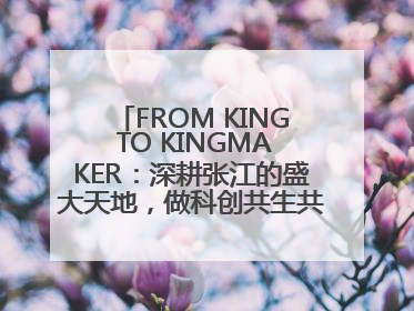 FROM KING TO KINGMAKER：深耕张江的盛大天地，做科创共生共荣体系的践行者