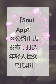 Soul App社区公约正式发布，打造年轻人社交乌托邦