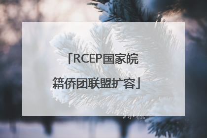 RCEP国家皖籍侨团联盟扩容