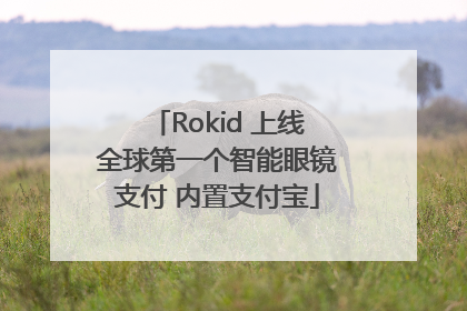 Rokid 上线全球第一个智能眼镜支付 内置支付宝